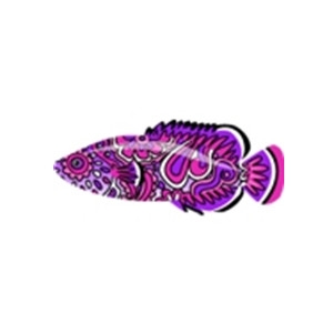 Groovy Purple Grouper